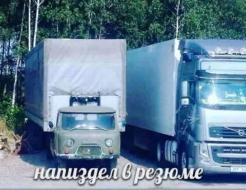 Напиздел в резюме