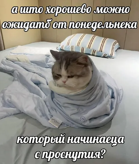 Понедельник начинается с пробуждения