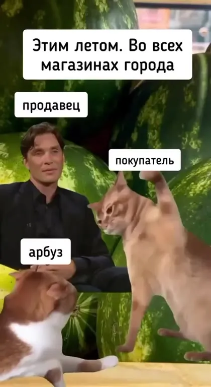 Покупатель пришёл за арбузом