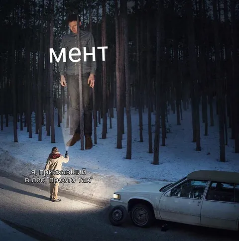 Мент приехал в лес просто так