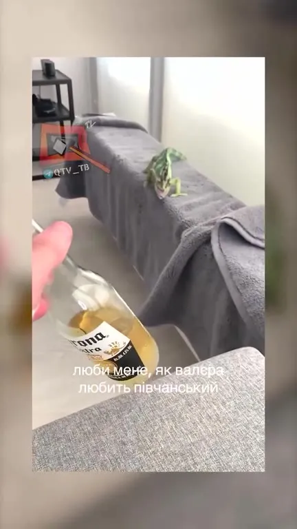 Хамелеон просить пива