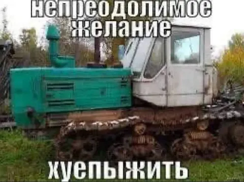 Непреодолимое желание жупыжить