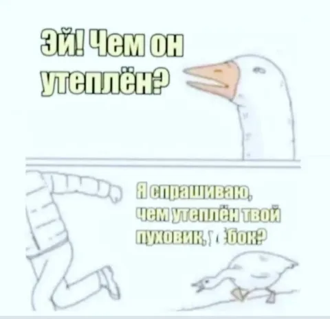 Чем утеплён пуховик?