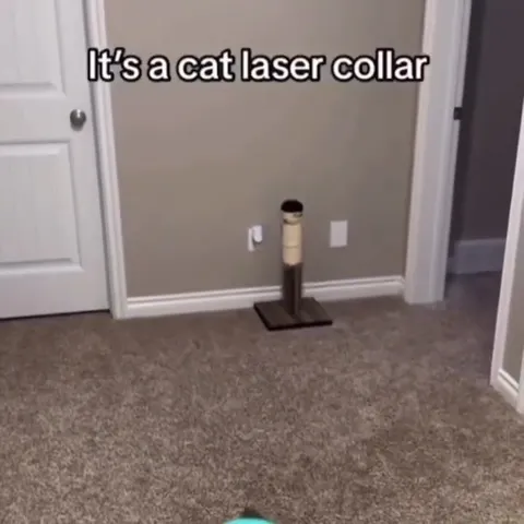 Cat Laser Collar Sisyphus