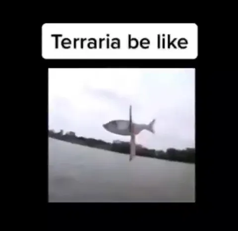 Terraria be like fishing