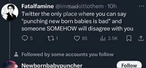 Twitter Newborn Baby Puncher