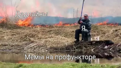 Мемы на профункторе