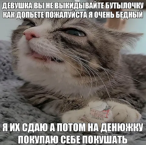 Бедный кот сдаёт бутылочки