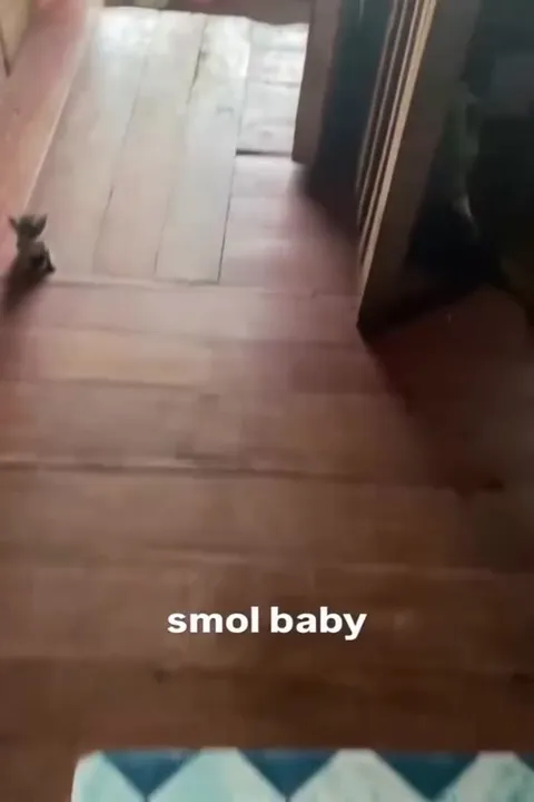 Smol Baby Approaches