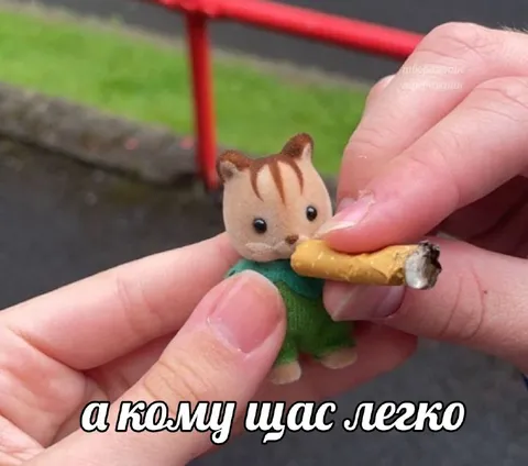 Котёнок и сигарета