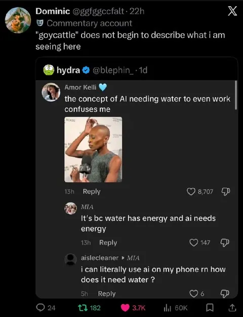 AI Needs Water Debate