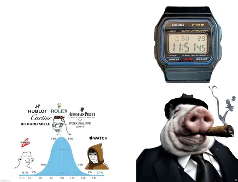 Casio Versus Luxury Watches