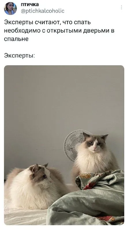 Эксперты советуют спать с открытыми дверьми