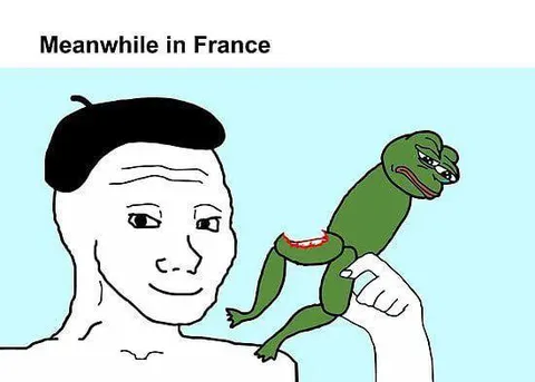 Meanwhile in France