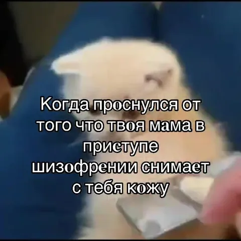 Котёнок проснулся от ужаса