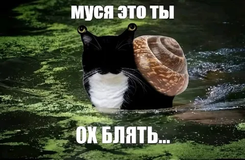 Муся-улитка в воде