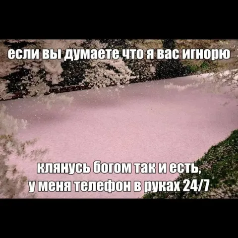 Телефон в руках 24/7