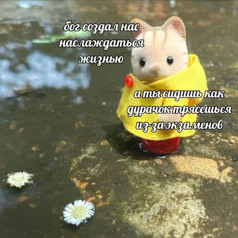 Трясёшься из-за экзаменов