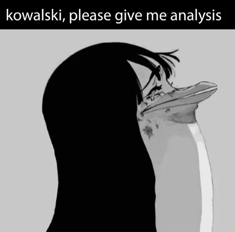 Kowalski, Please Give Me Analysis