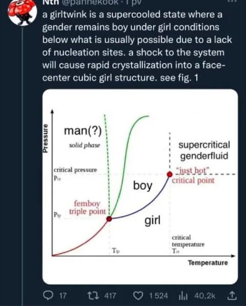 Gender Phase Diagram