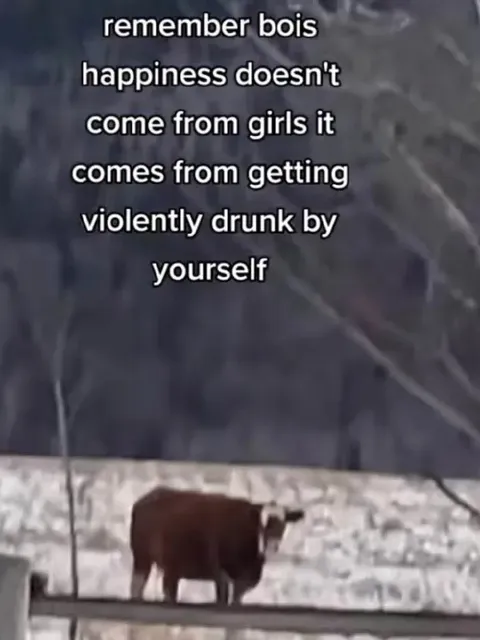 Happiness Comes From Drinking Alone