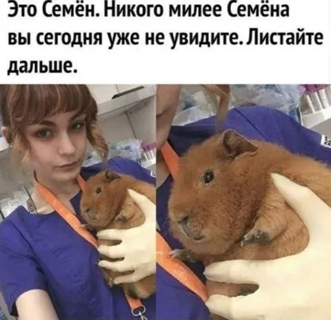Это Семён, милее не увидите