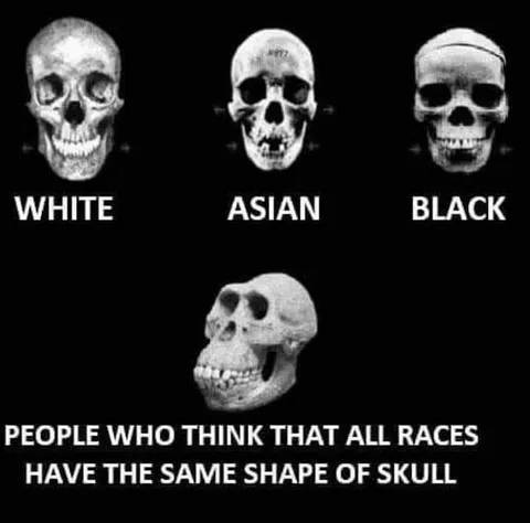 Skull Shape Race Myth