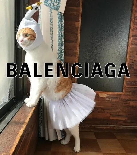 Balenciaga Cat in a Tutu