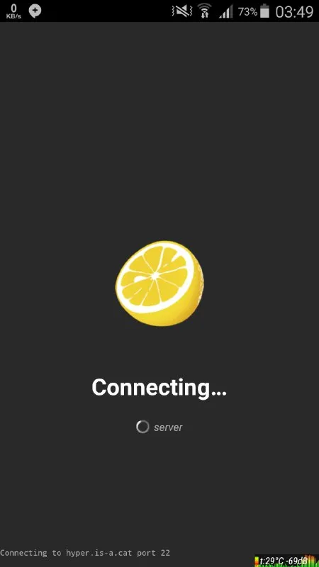 Connecting to the Server