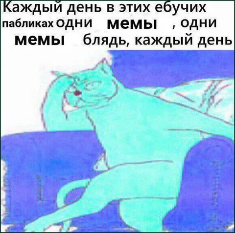 Каждый день одни мемы