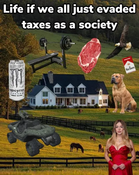 Life If Society Evaded Taxes