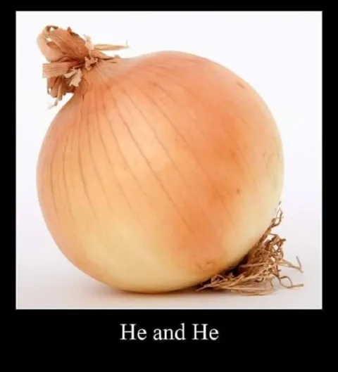 He and He Onion Pun