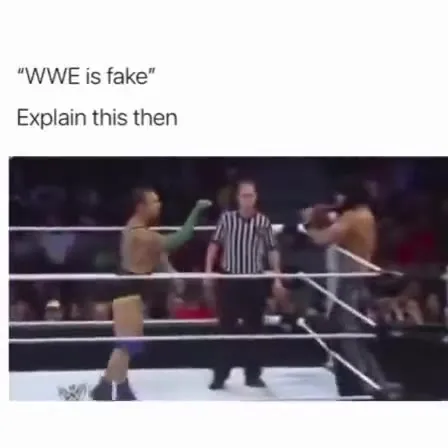 WWE Is Fake Explain This Then