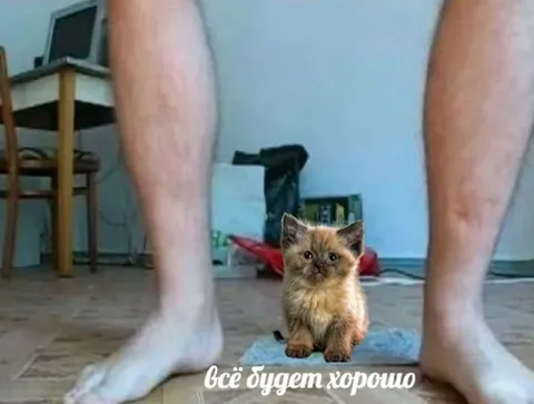 Всё будет хорошо