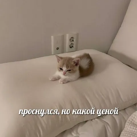 Проснулся, но какой ценой