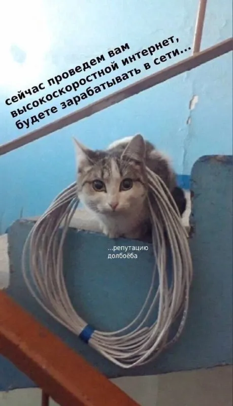 Высокоскоростной интернет и репутация