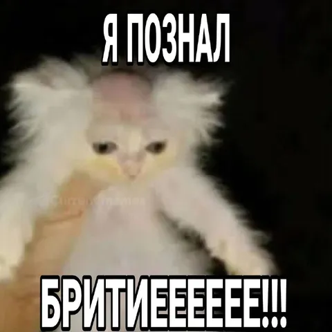 Я поздно бритеееее