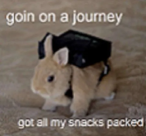 Bunny Going on a Journey