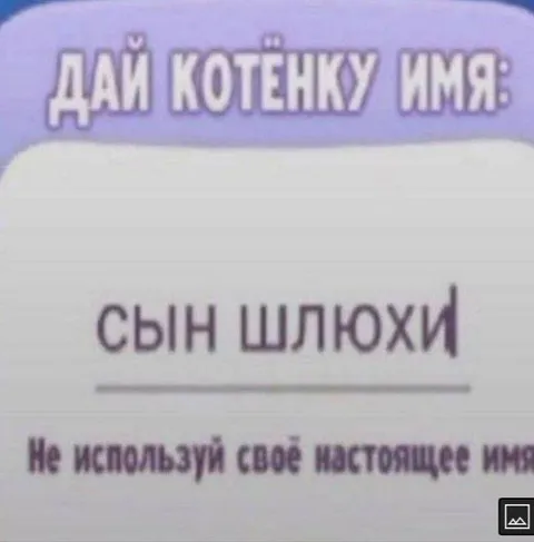 Котёнок с именем сын шлюхи