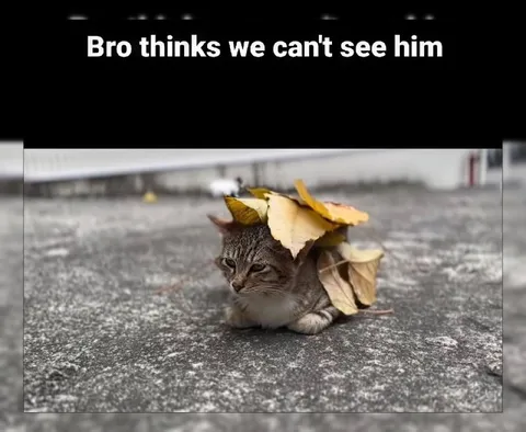 Bro Thinks We Can't See Him