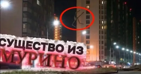 Существо из Муркие́го