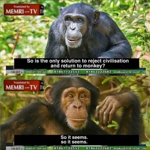 Reject Civilization, Return to Monkey