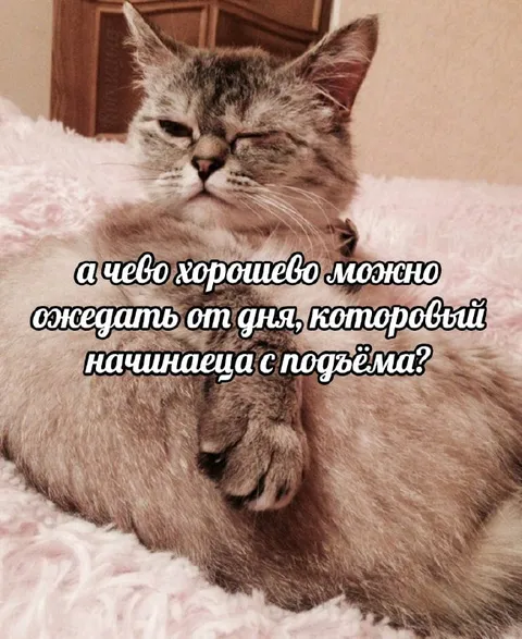 День начинается с подъёма
