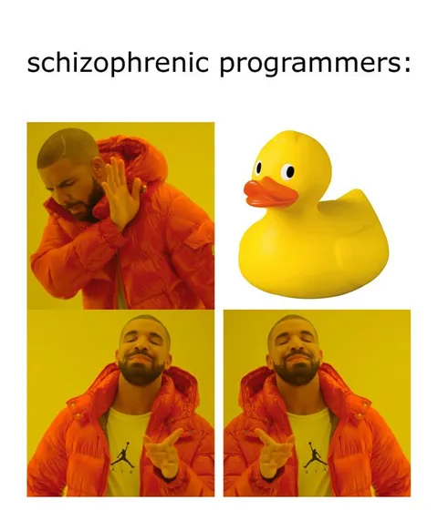 Schizophrenic Programmers Meme