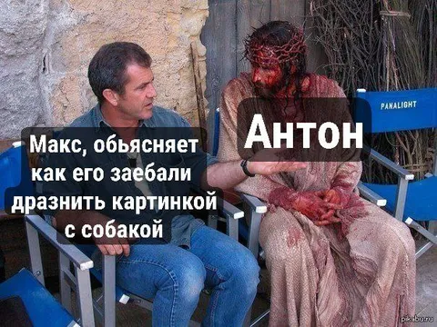 Макс объясняет про собаку Антону