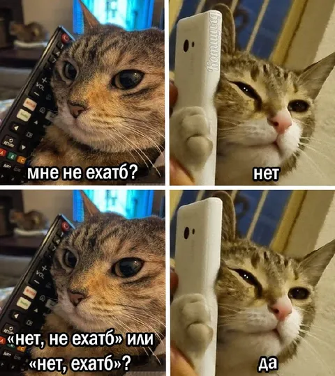 Мне не ехать?