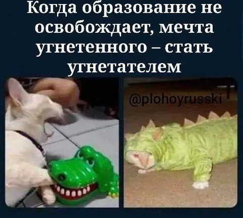 Мечта стать учёным-аллигатором