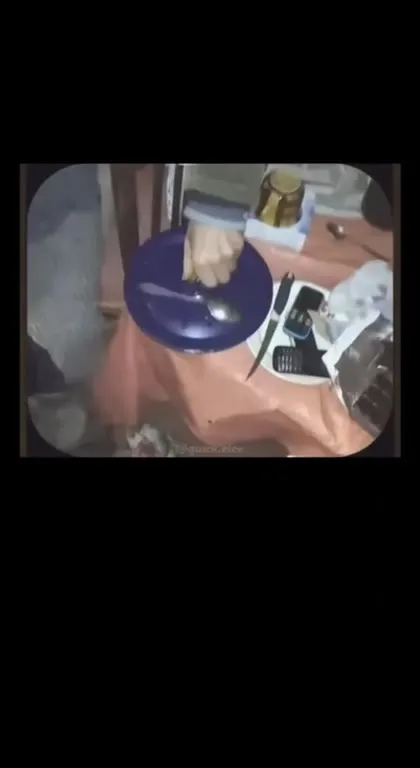 Яблоки в этом мире