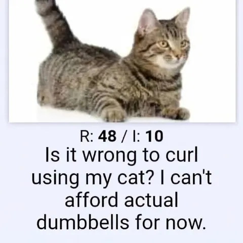 Cat Used as Dumbbells