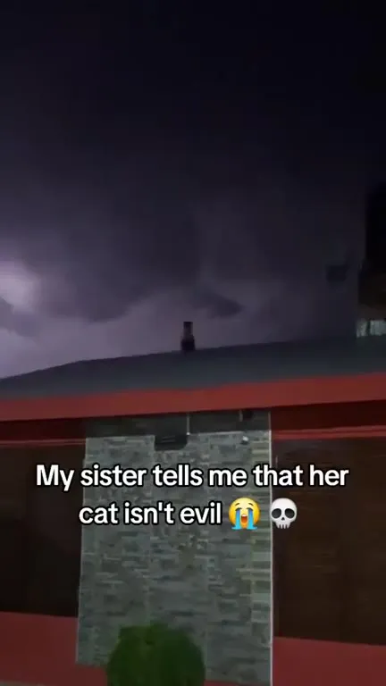Her Cat Isn't Evil